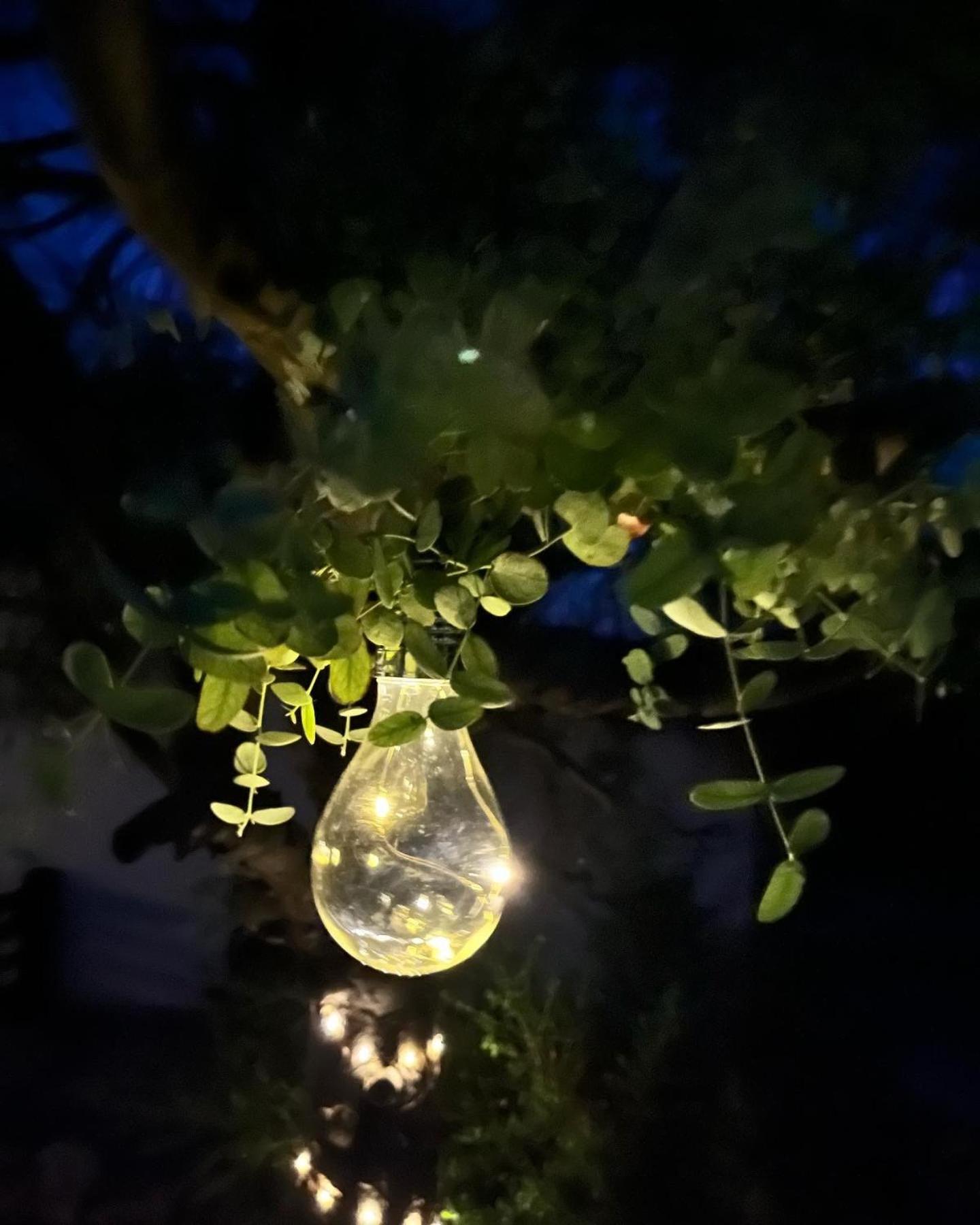 Gite La Borie Fons  Buitenkant foto