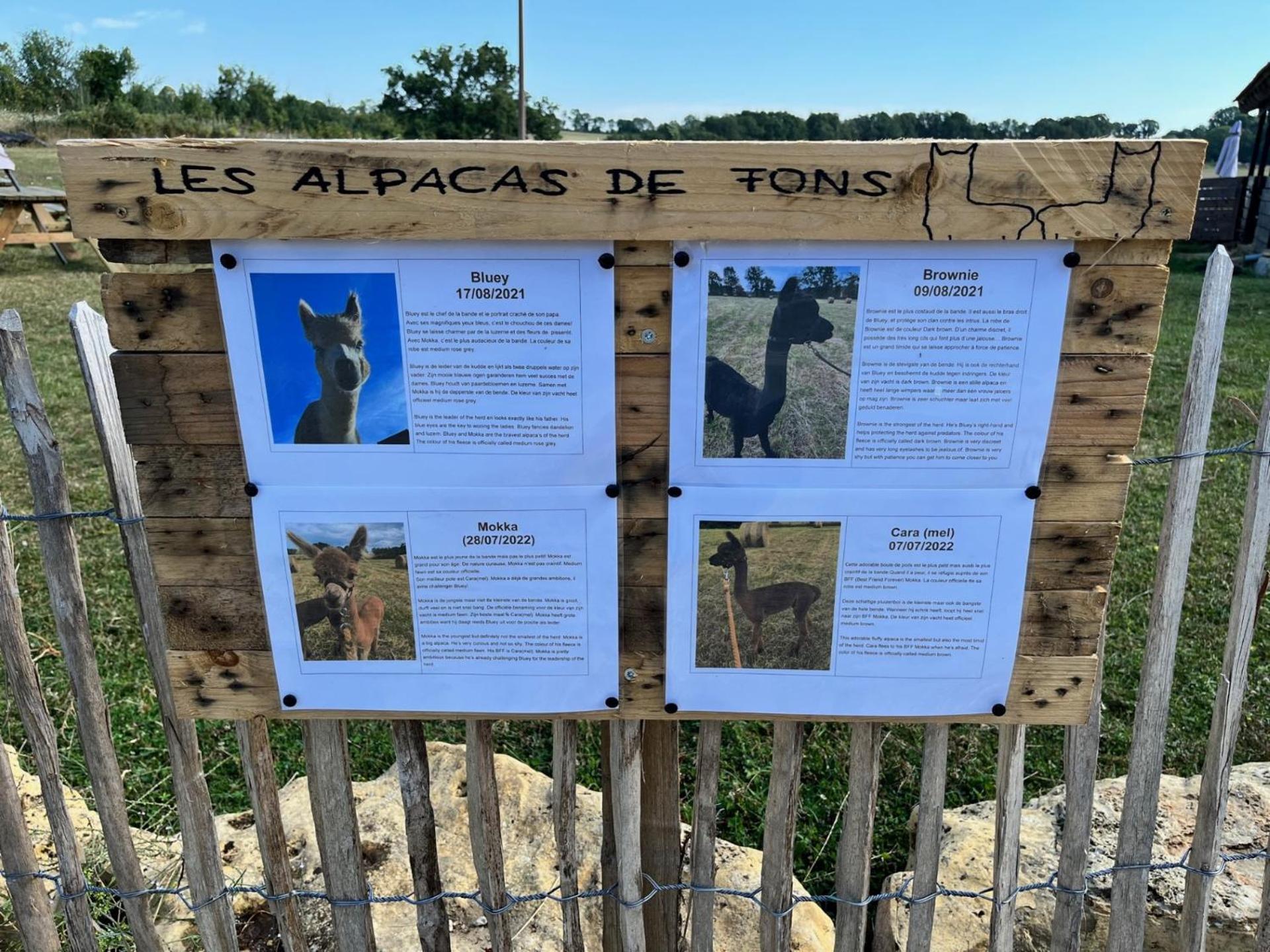 Gite La Borie Fons  Buitenkant foto